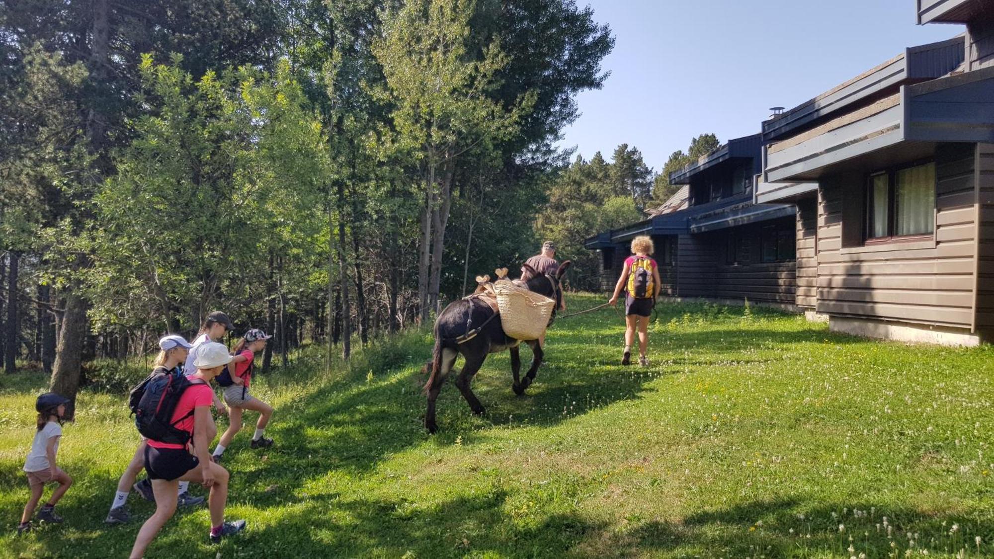 Bolquère Le Chalet Du Ticou מראה חיצוני תמונה